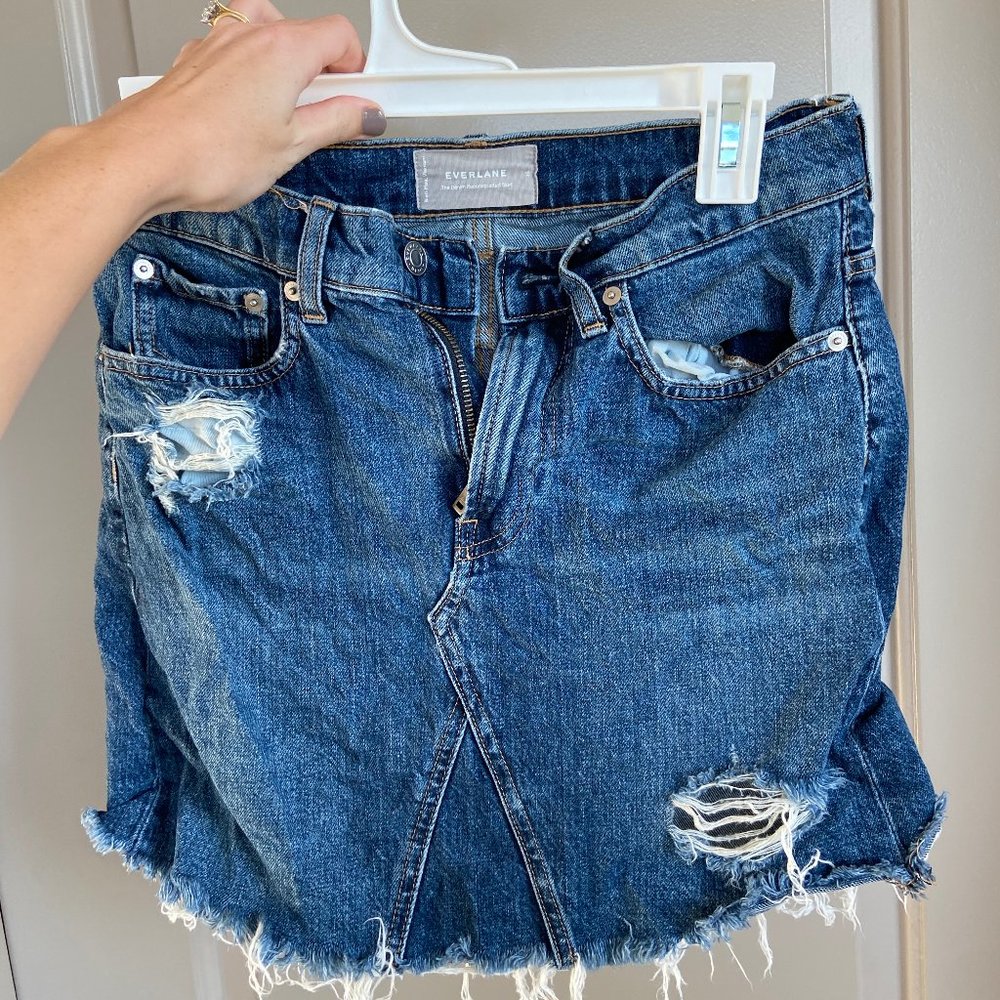 Everlane Jean Skirt